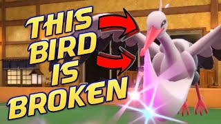 This Bird is BROKEN! Pokemon VGC Scarlet and Violet Competitive Ranked Wifi Battle