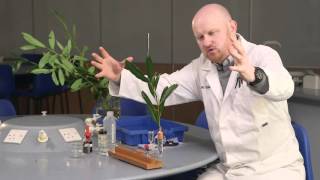 Transpiration: the power of the potometer