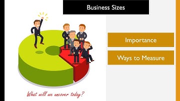 CAMBRIDGE BUSINESS STUDIES AS & A LEVEL: 3.0 Size of Business