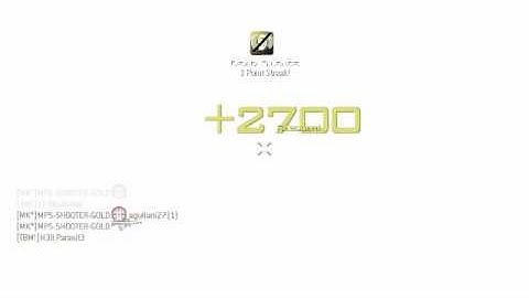 (MW3) All Pro challenge with the Type 95