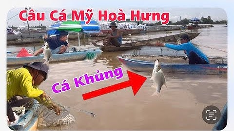 Câu Cá Mỹ Hoà Hưng 19/8 / Đam Mê Câu Cá 67