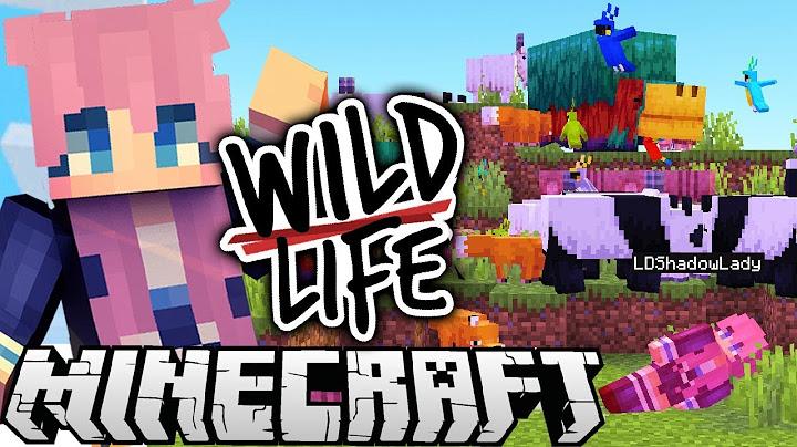 The WORST Best Day Ever | Ep. 6 | Wild Life