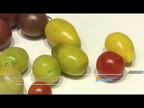 Video: Preferencias De Tomate