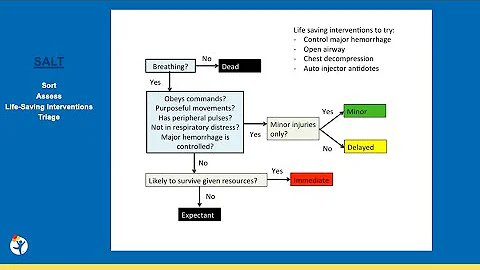 Pediatric Disaster Preparedness