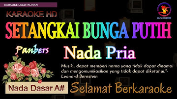 Karaoke Setangkai Bunga Putih - Panbers (Ver.  Eka Pratiwi Electone) nada pria A# || Karaoke HD.