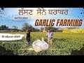 Garlic farming in india crop and profits  long interview