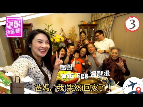 爸媽，我(突然)回家了！ | 星星探親團 #03 | 麥美恩 | 粵語中字 | TVB 2016