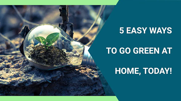 5 Easy Ways to Go Green at Home, Today!