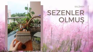 Sezenler Olmuş | Kalimba Resimi