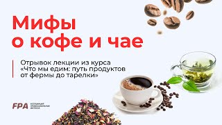 Мифы о кофе и чае | Ассоциация Профессионалов Фитнеса (FPA)