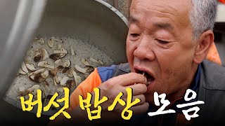 “이거만 먹어도 보약이에요.” 버섯꾼이 말아주는 버섯 밥상 모음집 Korean FoodKBS 방송