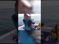 【未公開カット】船の上でカメラ落ちる #Shorts