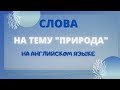 АНГЛИЙСКИЕ СЛОВА НА ТЕМУ "ПРИРОДА" С ПЕРЕВОДОМ,КАРТИНКАМИ