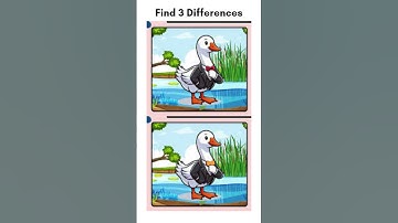 Spot The Difference: Do You Have an Eagle Eye?Test Your Observation Skills! [ Find The Difference ]