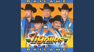 Bailame chords