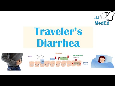 Traveler’s Diarrhea | Causes (Bacteria, Viruses, etc), Risk Factors, Symptoms, Diagnosis, Treatment