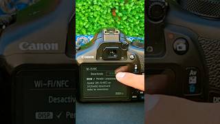📌Transfiere Tus FOTOS al👉CELULAR📱 FACIL Y RAPIDO 🎯 [TUTORIAL] #fotografia #canon #celular #tutorial