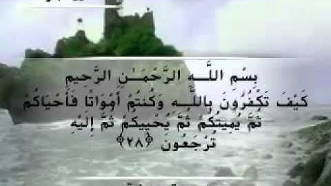 Moustafa Haredy  El Baqarah Ayah 28-29| مصطفى هريدى - سورة البقرة - من أية 29-28