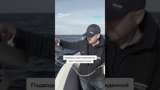 Подводные кадры повреждений трубы \