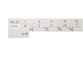Understanding Numeric Patterns
