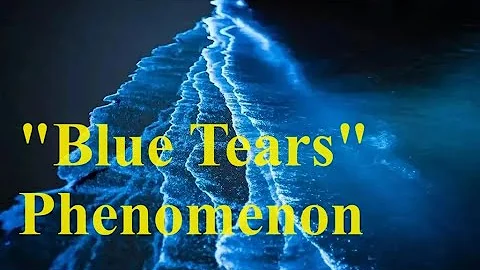 Wonders of 'Blue Tears' Spotted in Wenling Waters - DayDayNews