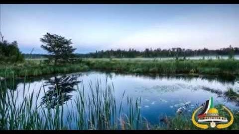 028 - Al-Qasas ( The Stories ) سورة القصص