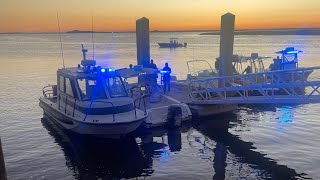 At least 7 dead after ferry dock collapse on island south of Savannah