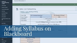 Adding Syllabus on Blackboard