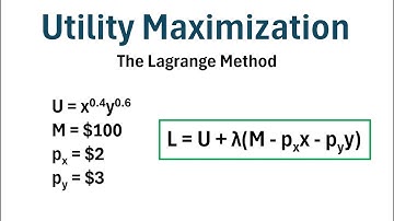 Utility Maximization Using the Lagrange Method