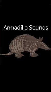 Armadillo Sounds Soundboard. Xbox Purchase Sound - YouTube