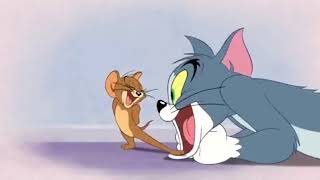 Мульт Tom and Jerry Tales S01 Ep11 Fraidy Cat Scat Screen 01