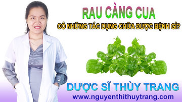 Rau càng cua có tác dụng chữa được bệnh gì không?