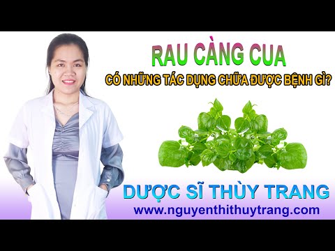 Video: Thông tin về trái cây càng cua: Khi nào ăn trái cây càng cua