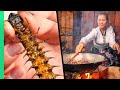 Yummy NIGHTMARE Fuel!! Eating with the White Thai for 24 Hours!! | TRIBAL VIETNAM EP5
