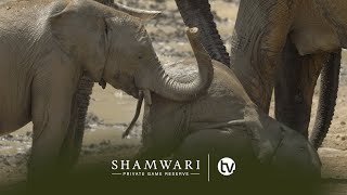 Shamwari Private Game Reserve: Q & A