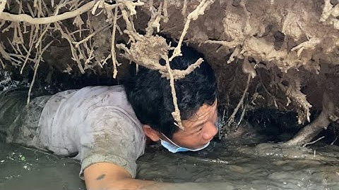 Chịu Cực Chút Xíu Là Có Đặc Sản Miền Tây Cho Bữa Cơm Chiều | Cù Lao Dung Vlogs #206