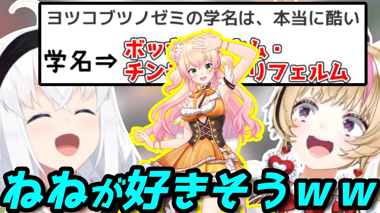 謎の虫の学名は本当にねねちが好きそうだった#狐族密会