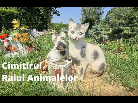 Cimitirul Raiul Animalelor