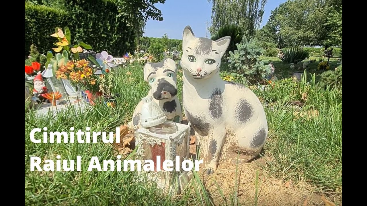 Cimitirul Raiul Animalelor