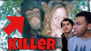 THE STORY OF TRAVIS THE CHIMP | A SHORT DOCUMENTARY STORY | FASCINATING HORROR