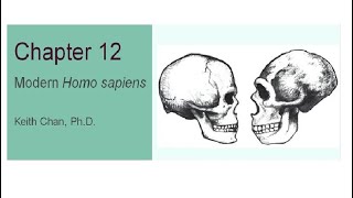 Explorations Chapter 12 Archaic Genus Homo