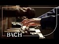 Bach - Toccata and fugue in D minor BWV 538 - Van Doeselaar | Netherlands Bach Society