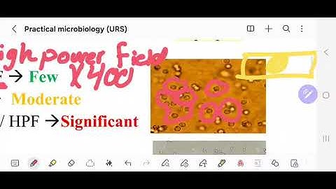 Micro must 301 URS practical part 1