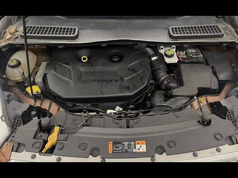 Ford 2.0L EcoBoost 4-Cylinder Engine Firing Order Cylinder Location ...