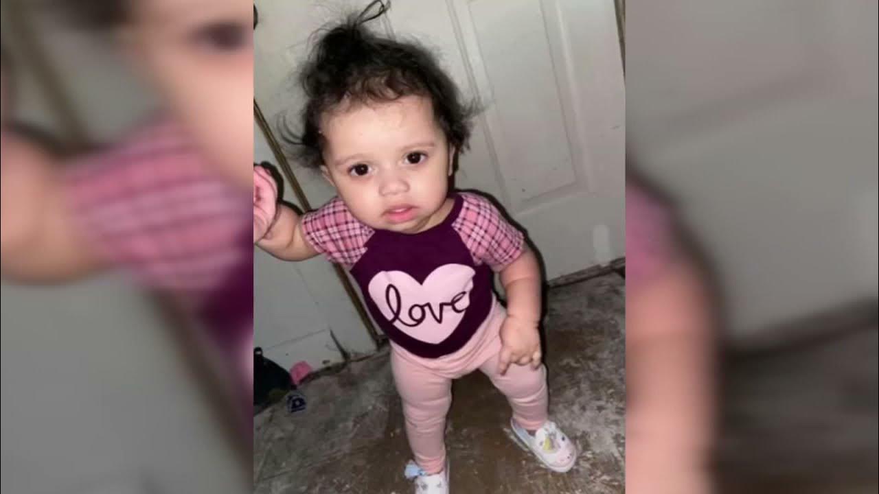 Dog kills toddler after she got too close to food bowl YouTube