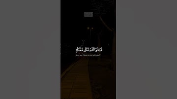 {ٱلَّذِینَ یَتَرَبَّصُونَ بِكُمۡ فَإِن كَانَ لَكُمۡ فَتۡحࣱ} | محمد صديق المنشاوي | سورة النساء.