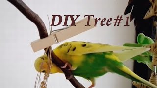 プレイスタンドでインコの入門フォーレジング | Entry-level Foraging for budgies