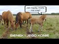 Jak będzie się nazywać źrebię Gienka i Andrzeja Rolników z Plutycz? Czy przyjaciel Jastrząb pomoże?