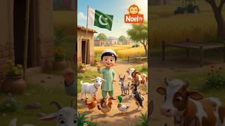 Alo Balo 😅 | Pashto Cartoon | Pashto Funny | Mena Charya | #Shorts
