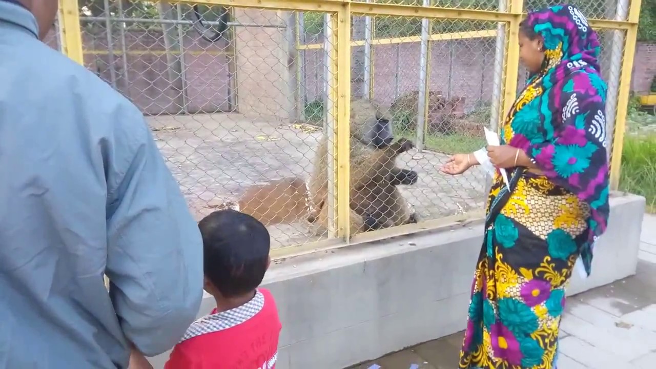 চিড়িয়াখানা Rajshahi Central Zoo. YouTube